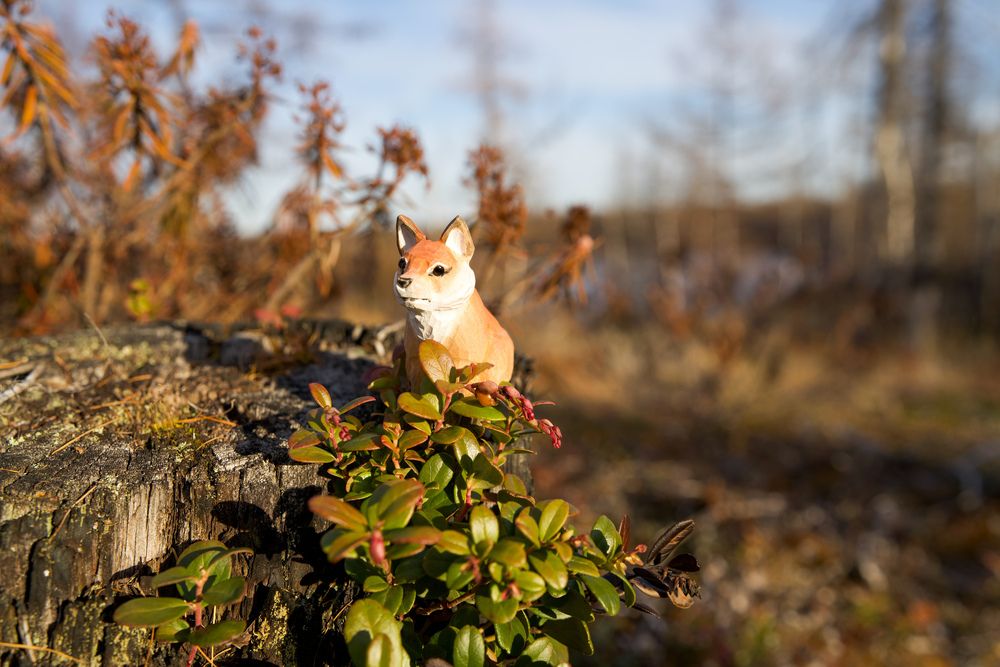 Фотография автора Viktoriya Kim