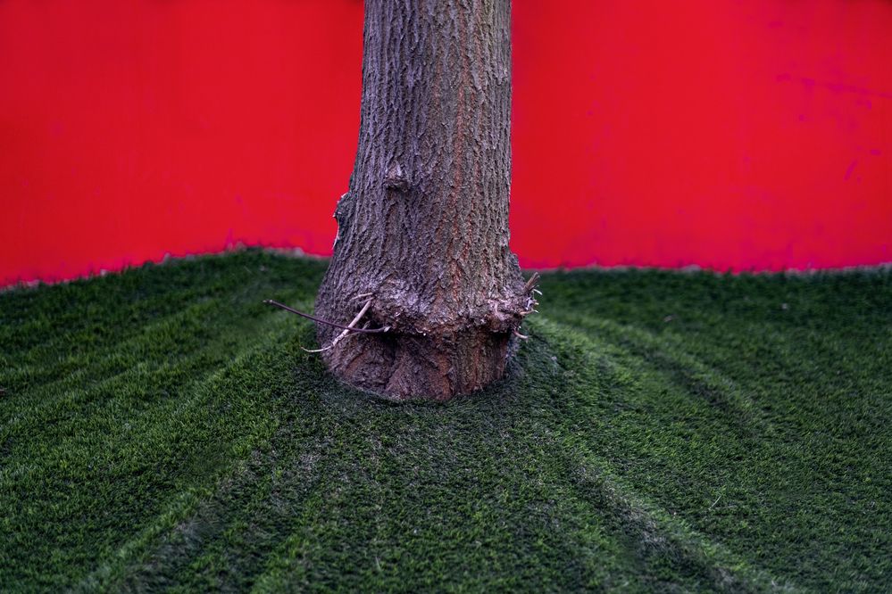 Photograph by Елена Барышева