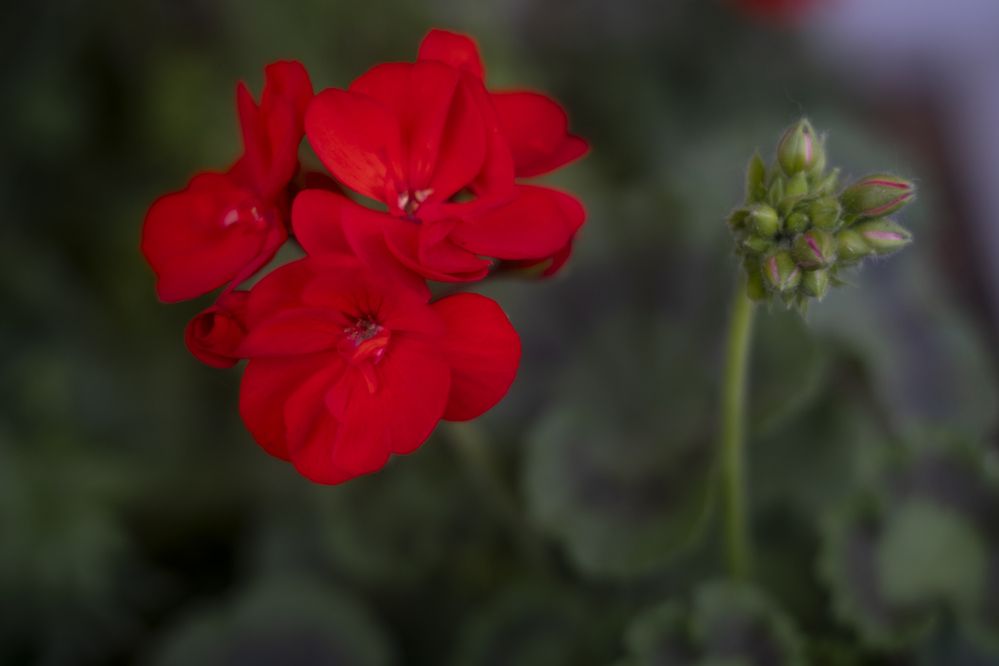 Photograph by Елена Барышева