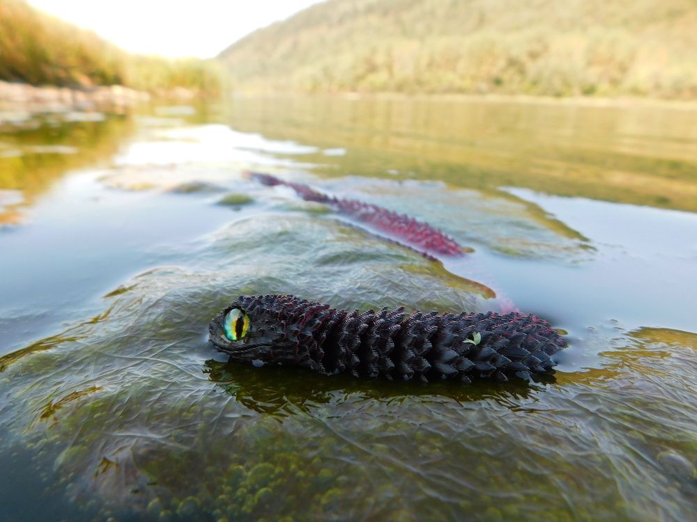 Photograph by Александр Прядко