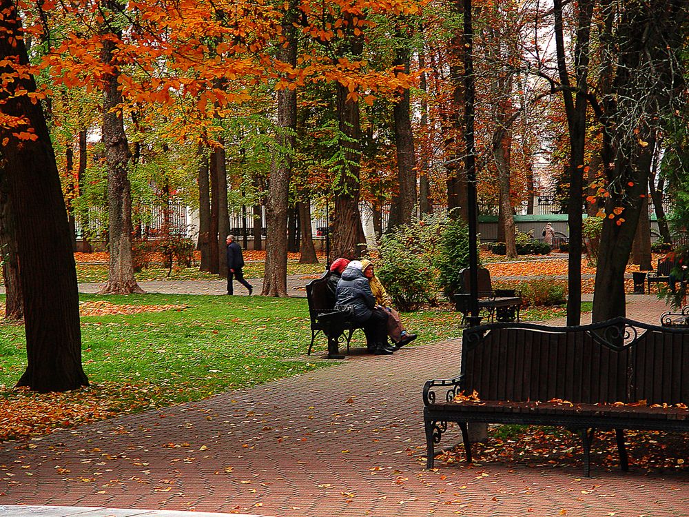 Фотография автора Всеволод