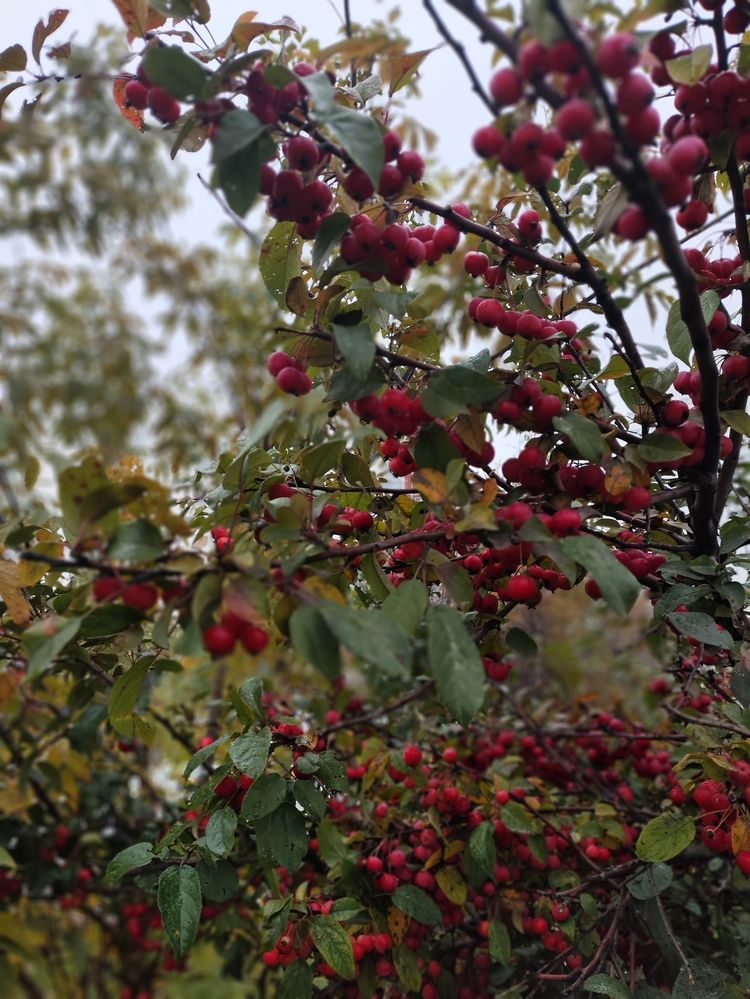 Photograph by Татьяна Пьянзина