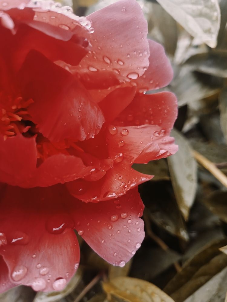 Photograph by Ольга Рубцова