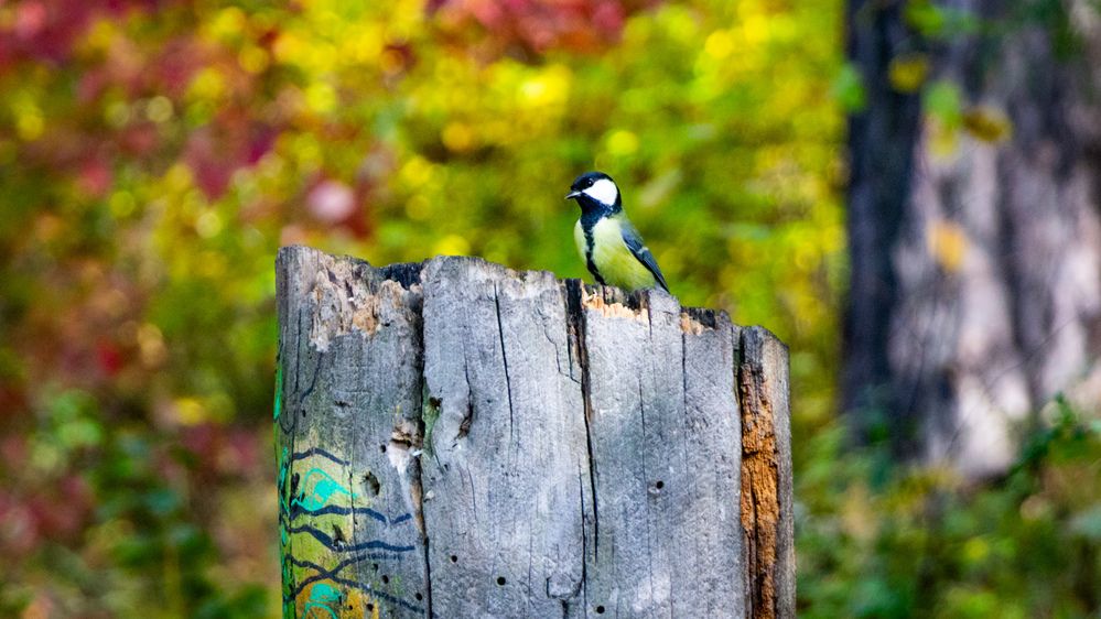 Photograph by Владимир Сушкин