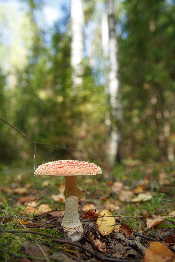 Photograph by Дарья Улюсова