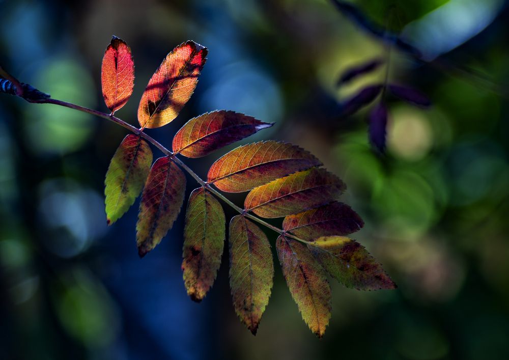 Photograph by Фёдор Никитин