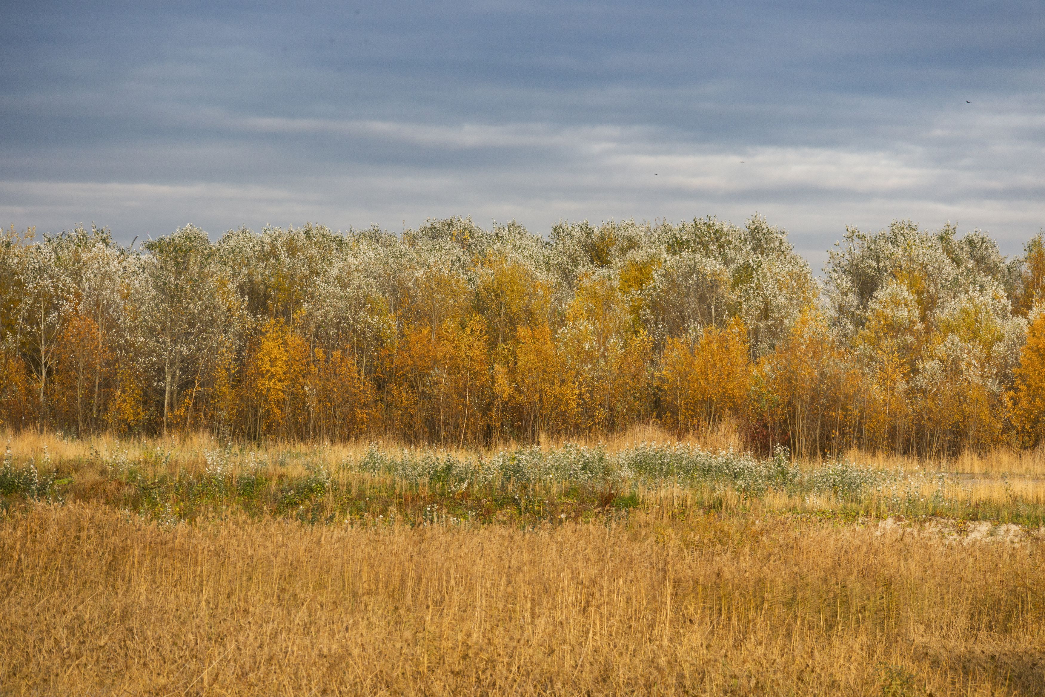 Photograph by Юлия Алексейчикова