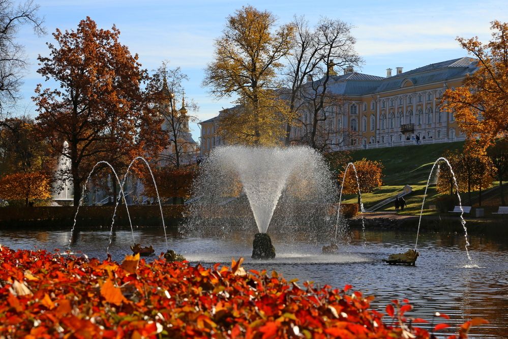 Фотография автора Александр Кожевников