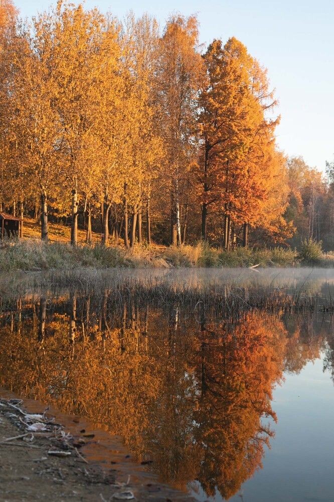 На рассвете осенью
