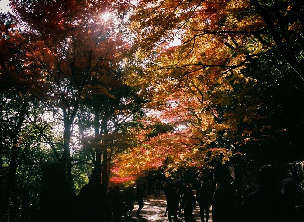 Photograph by Suto Aya