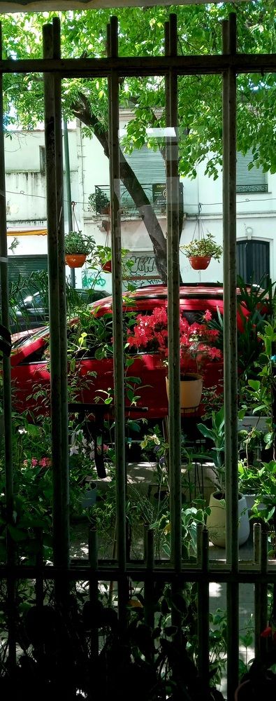 Photograph by Sara Elisabet Gómez