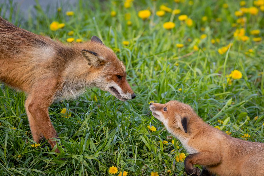 Photograph by Антон Науменко