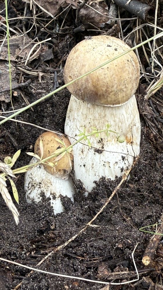 Photograph by Елена Гущина