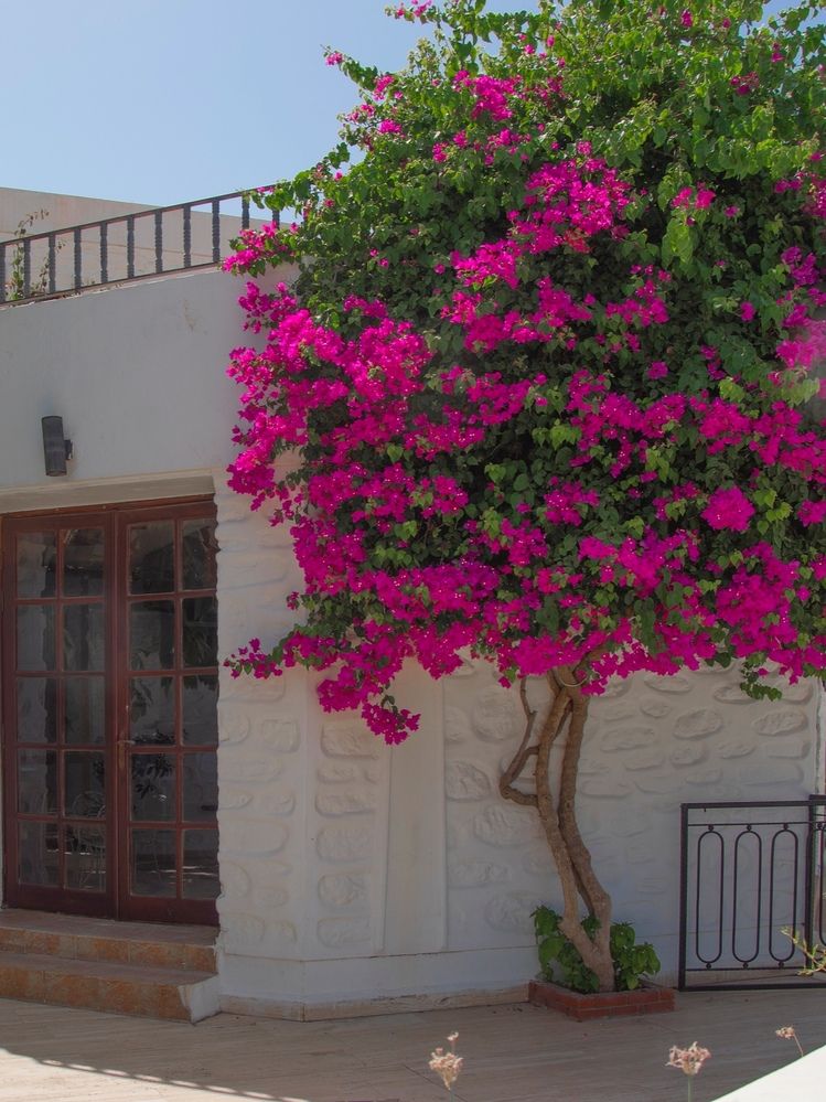 Photograph by Анна Васильева