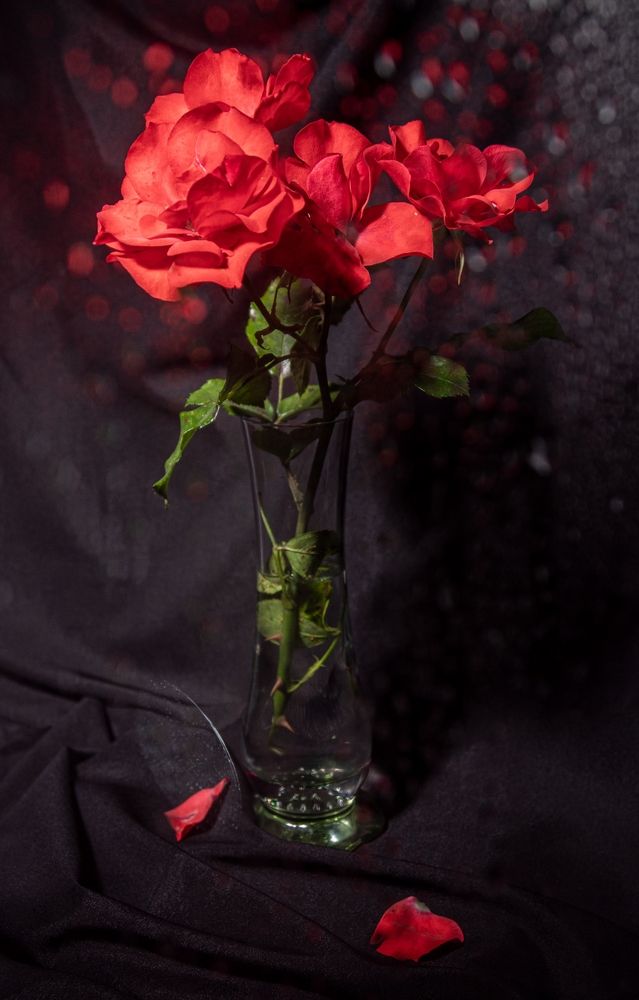 Photograph by Анна Васильева