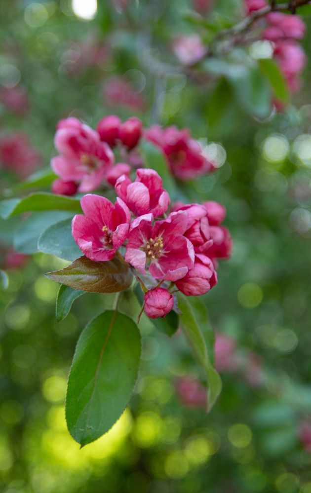 Photograph by Анна Васильева