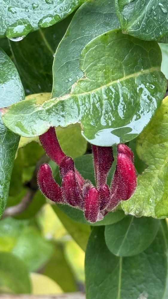 Photograph by Елена Гущина