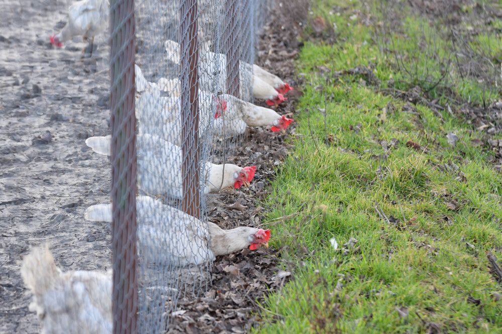 Photograph by Наталья Вялых