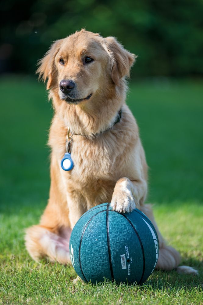 Photograph by Демьян Лопатов