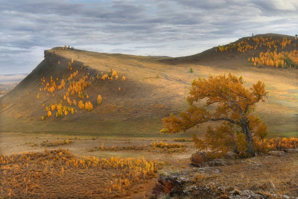 Photograph by Крат Светлана