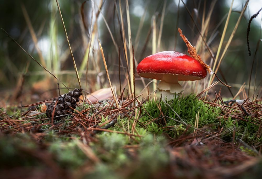 Photograph by Елена Соколова