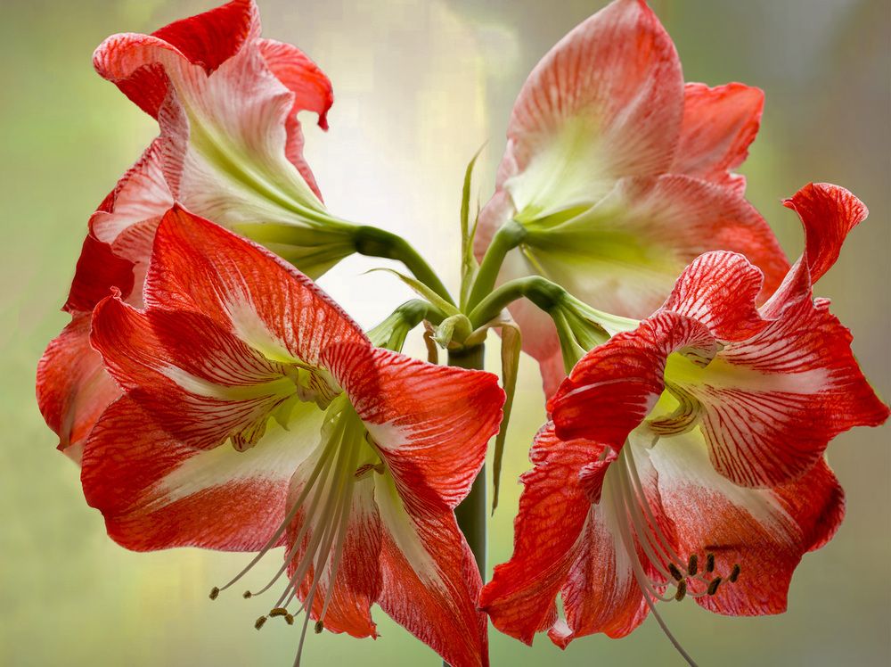 Photograph by Алексей Козлов