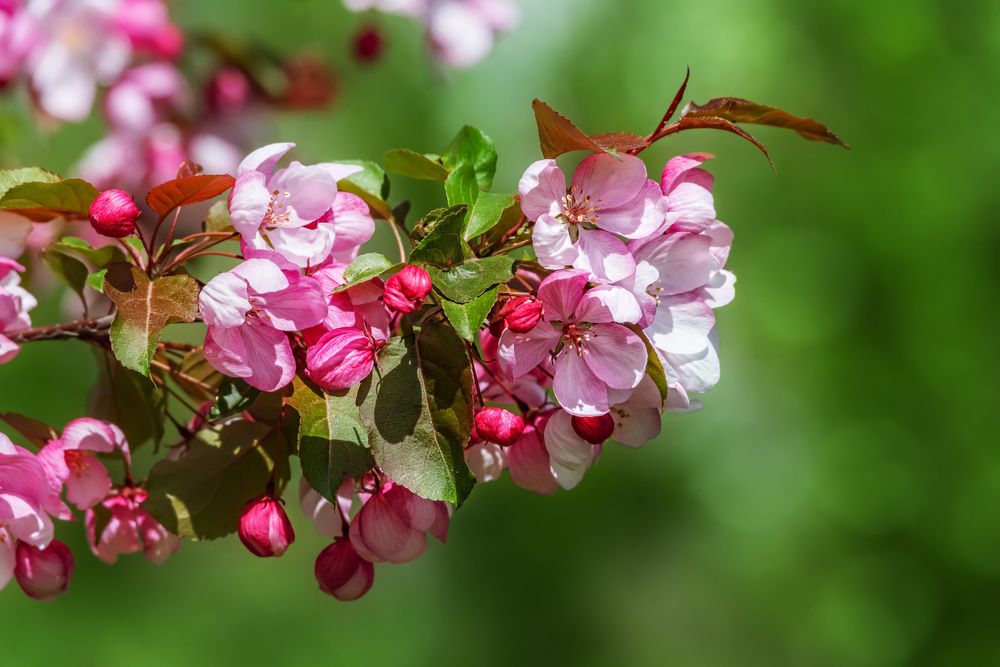 Photograph by Елена Соколова