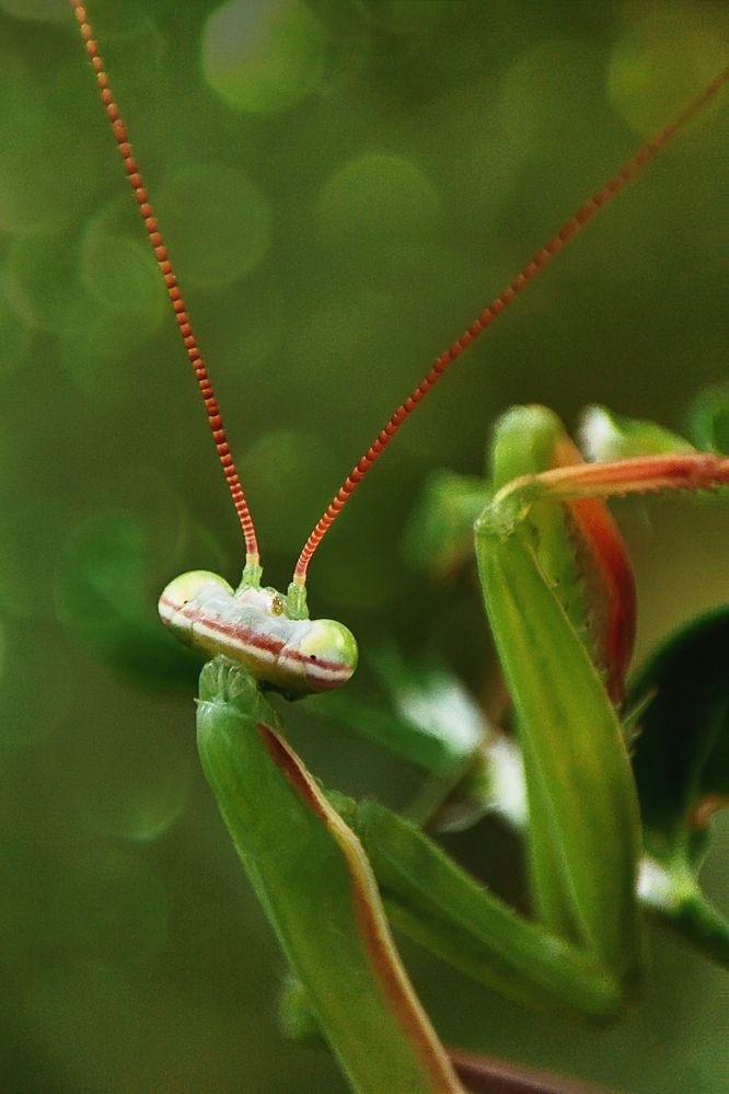 Photograph by Ирина Строкова