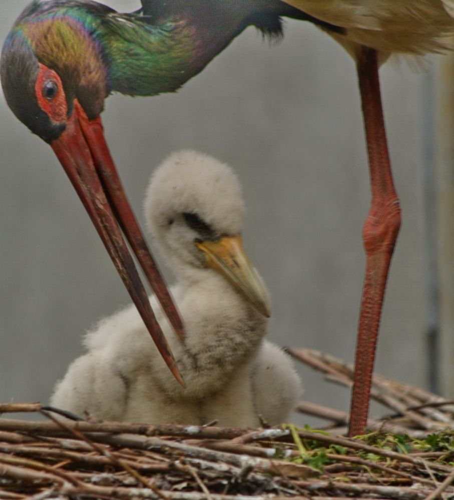 Photograph by Анастасия Смирнова