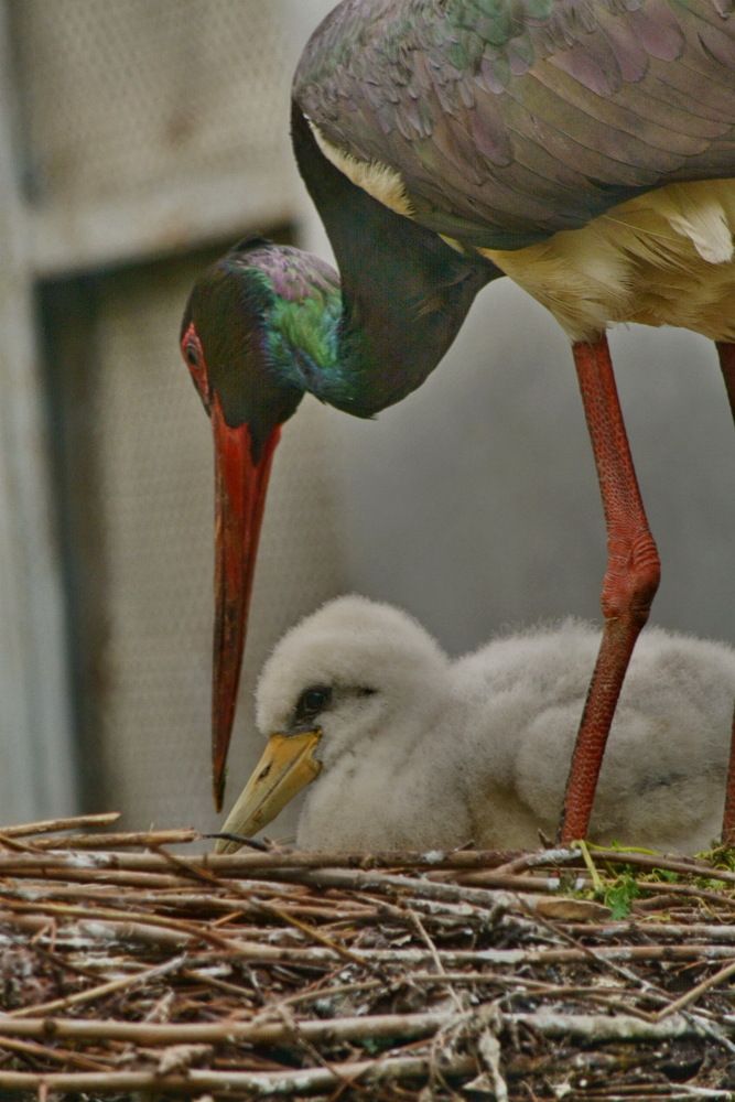 Photograph by Анастасия Смирнова