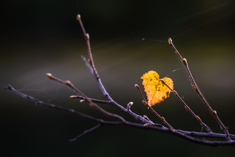 Photograph by Жора Житников