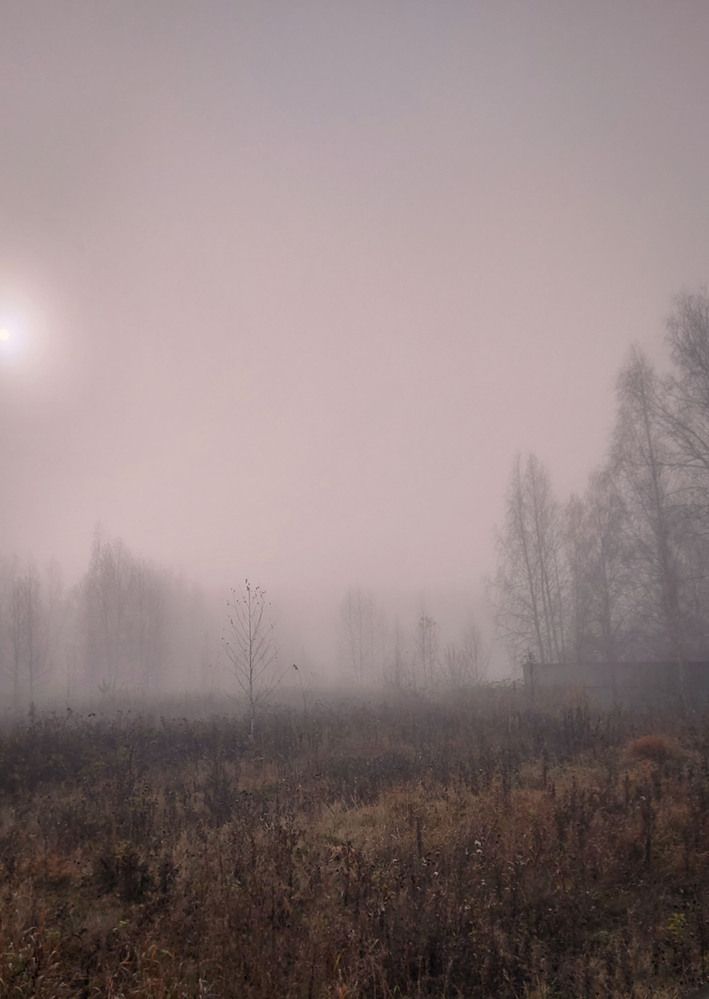 Photograph by Татьяна Гатиятуллина
