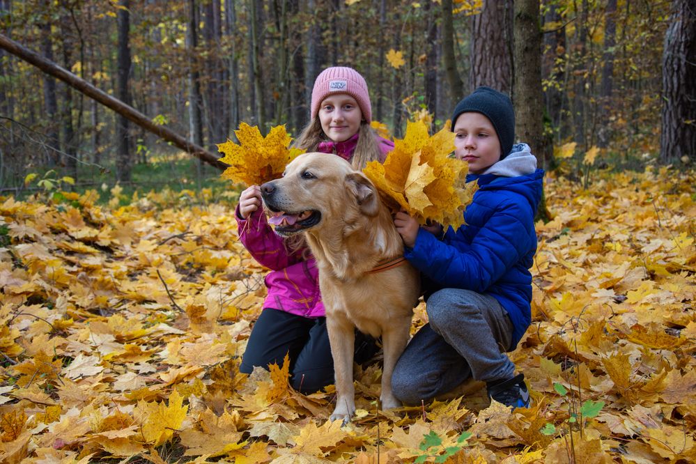 Фотография автора Нина Шкляр