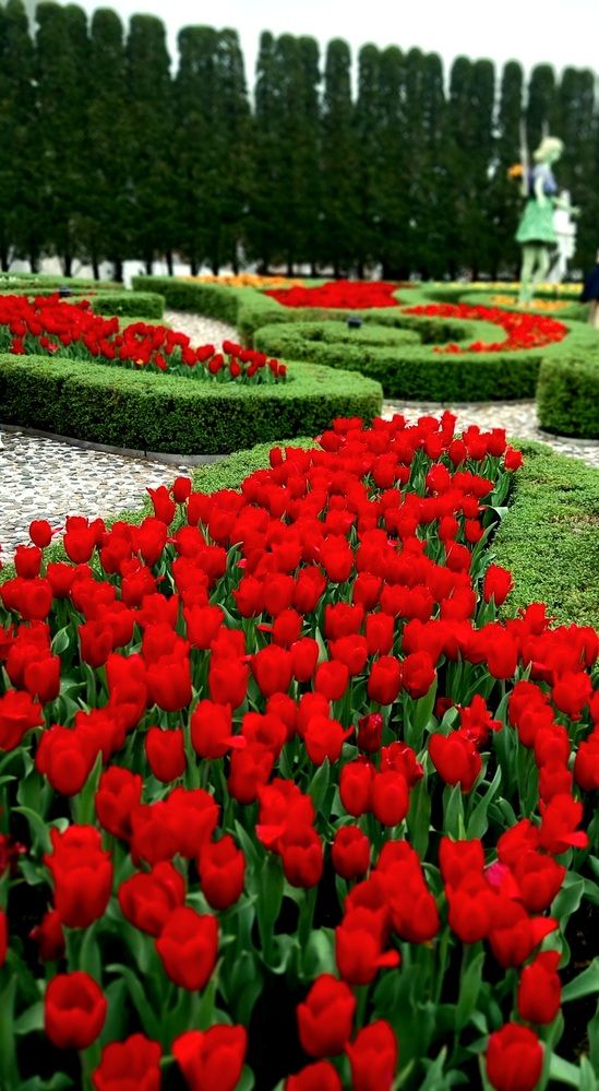 Photograph by Rahul Raman