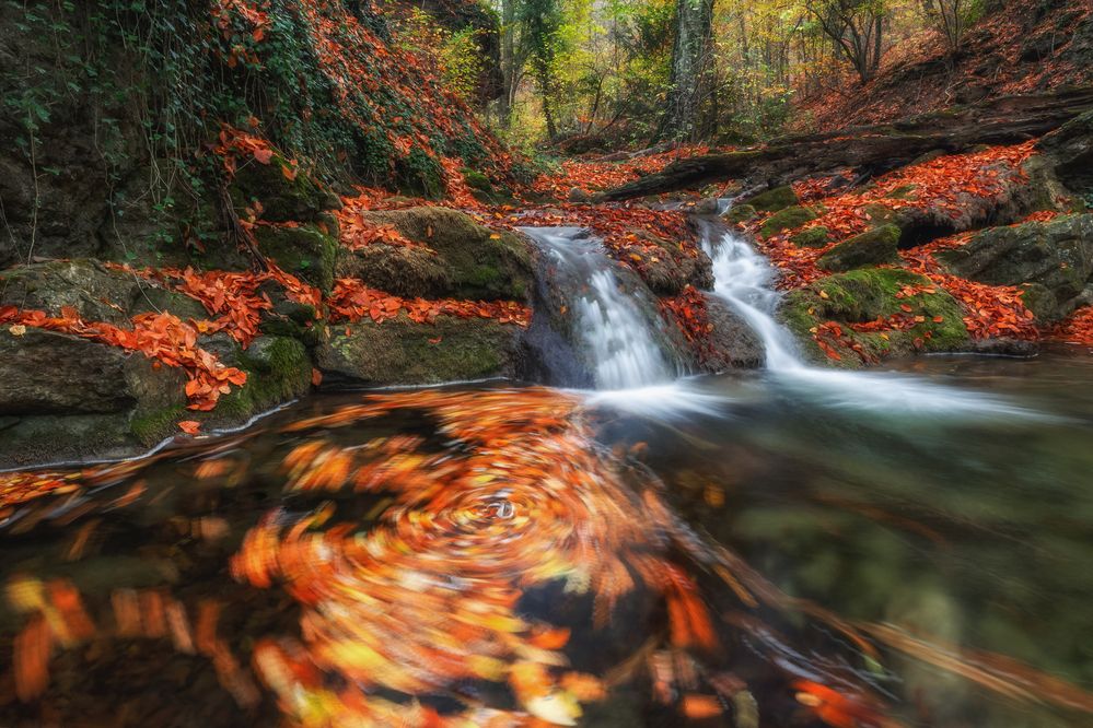 Photograph by Дмитренко Екатерина