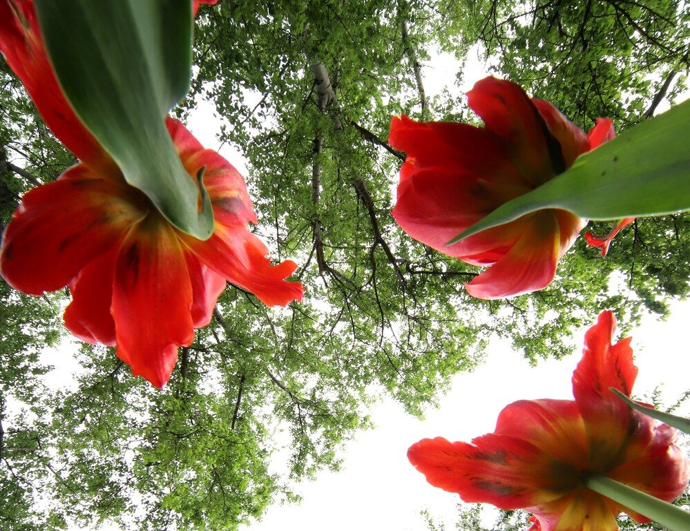 Photograph by Лада Денисова