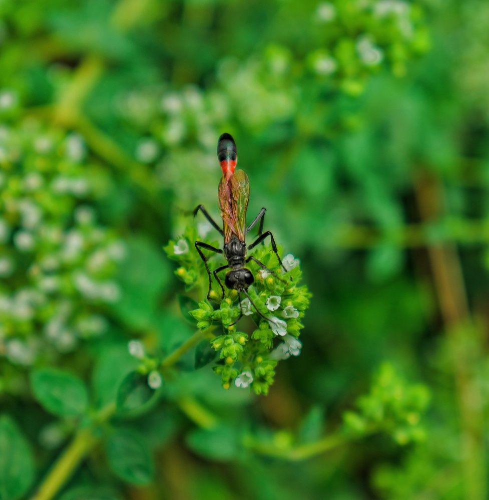 Photograph by zahra salardini