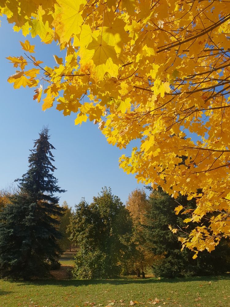 Photograph by Natasha