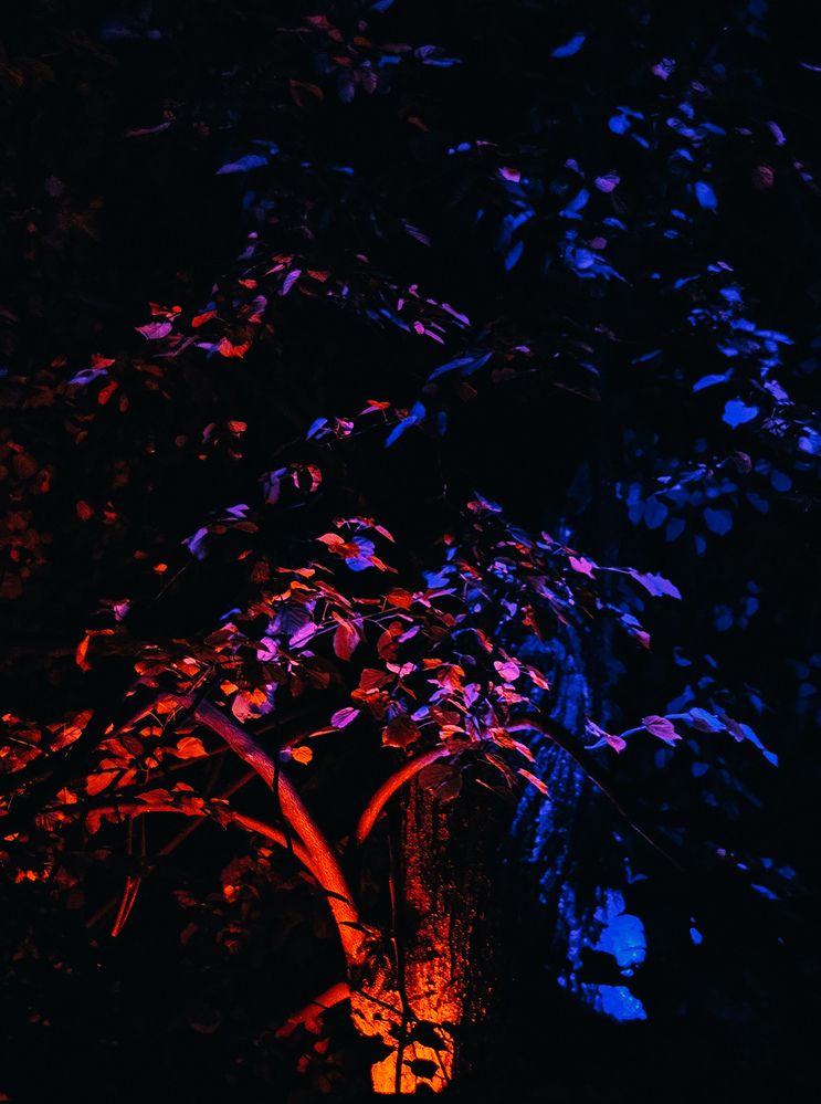 Photograph by Кристина Альшанская