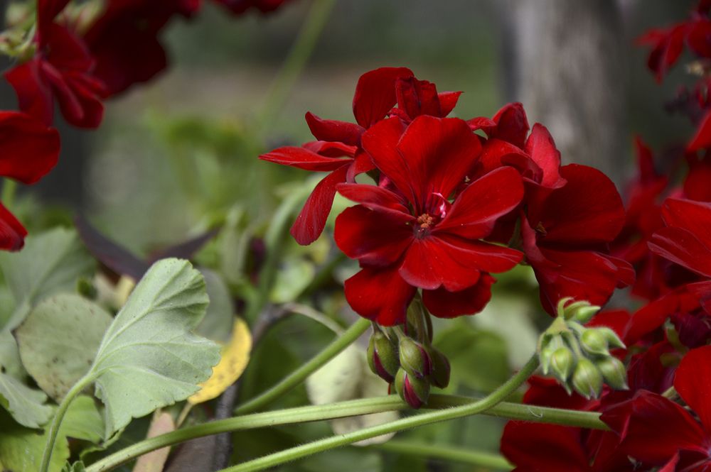 Photograph by Алексей Парамонов