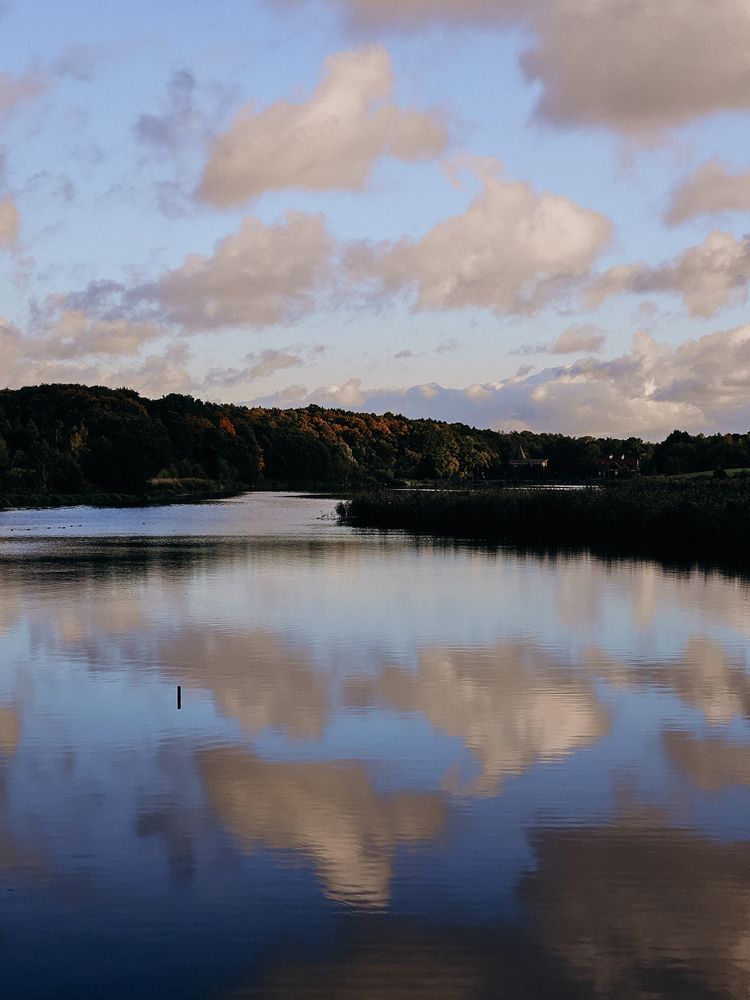 Фотография автора Кристина Альшанская