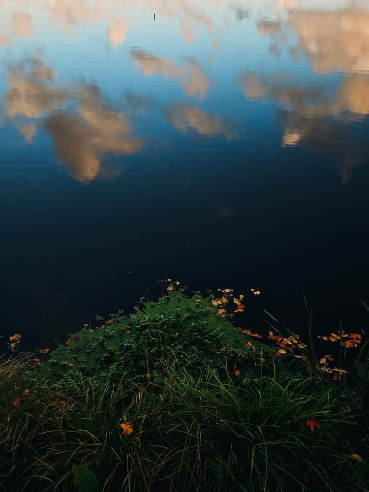 Photograph by Кристина Альшанская