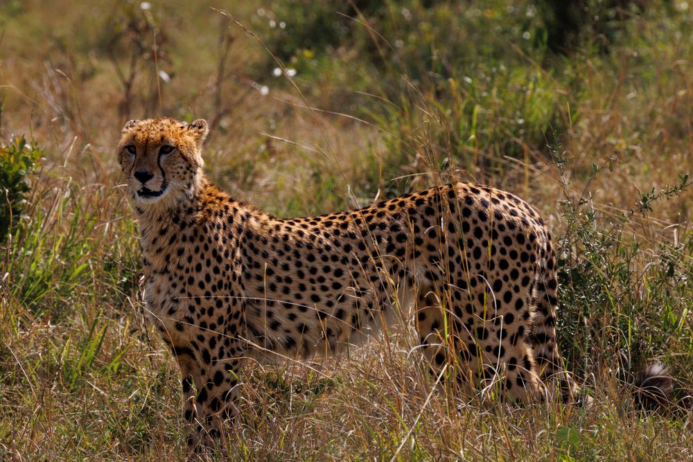 Photograph by Кирилл Мазазолин