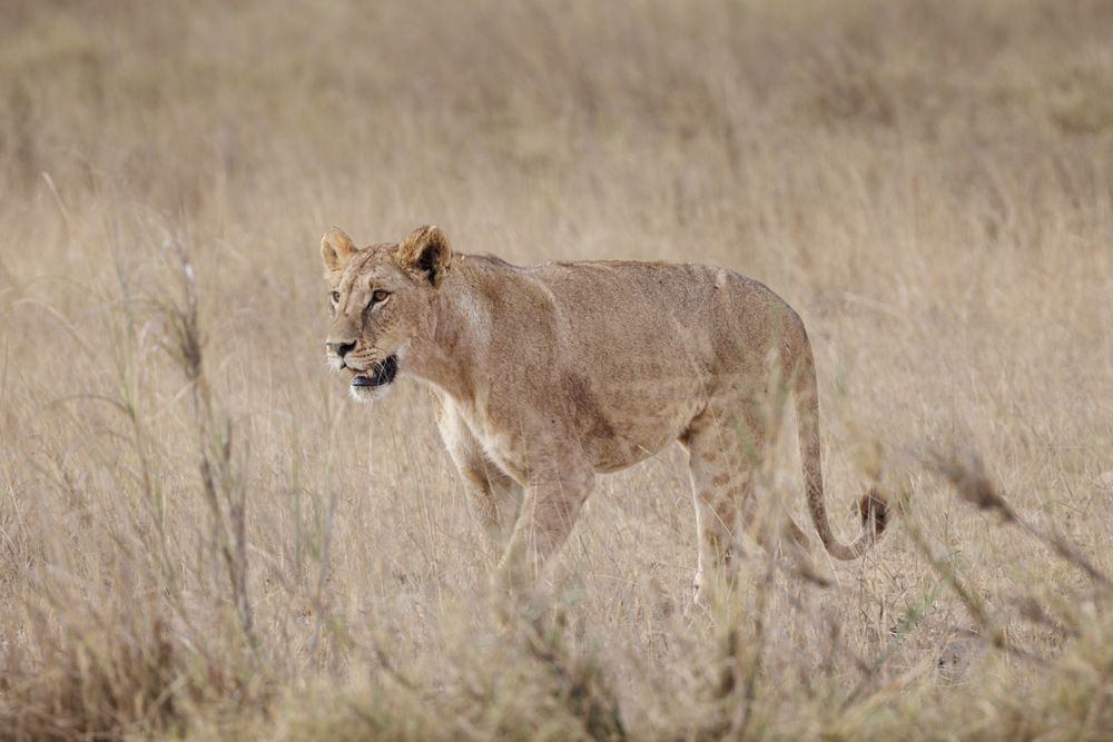 Photograph by Елена Подерегина