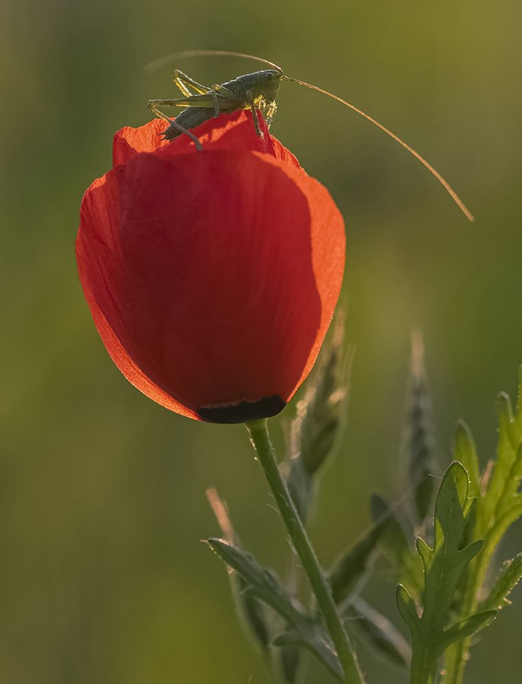 Photograph by ПУЗЕНКО ДМИТРИЙ
