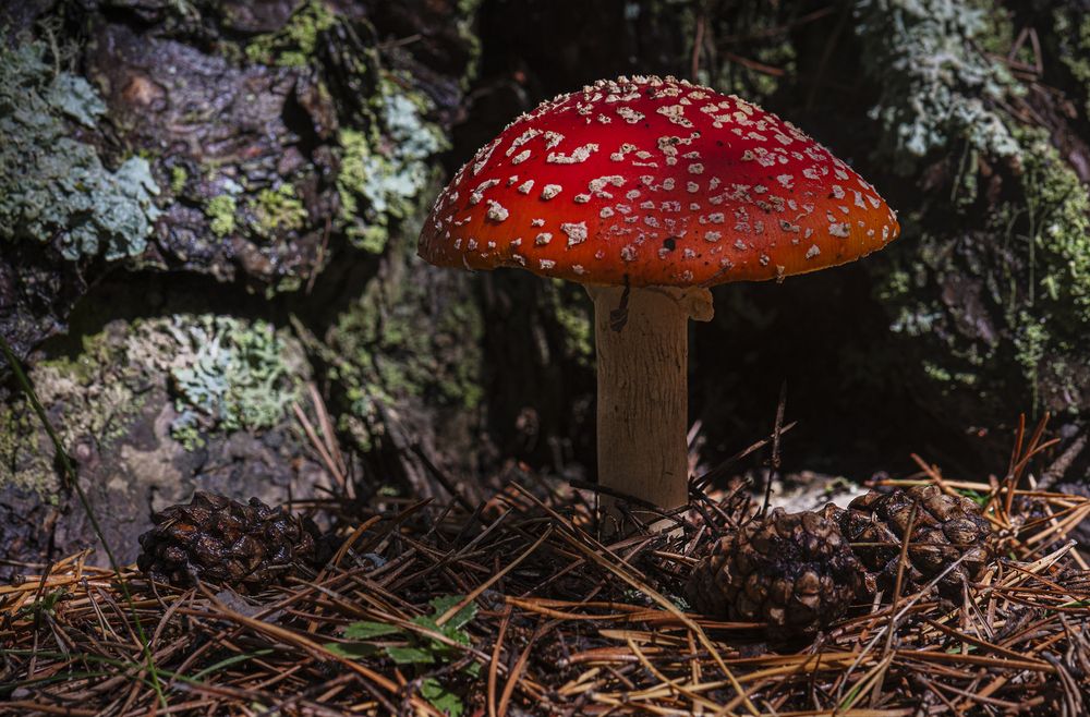 Photograph by ПУЗЕНКО ДМИТРИЙ