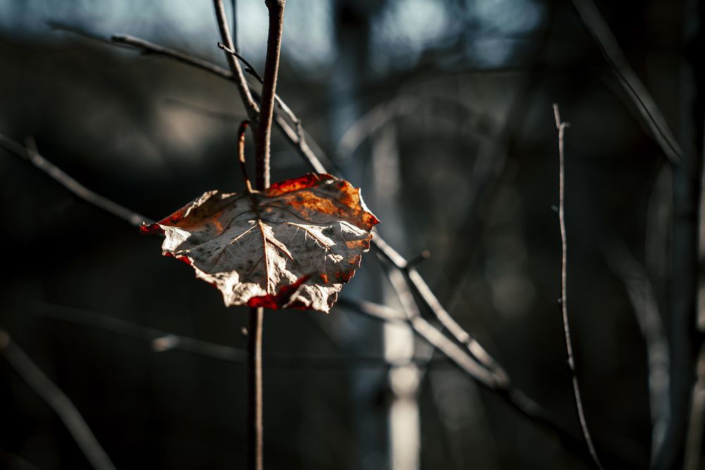 Photograph by Алексей