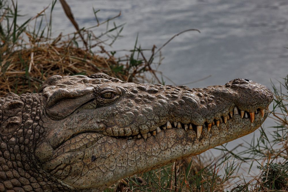 Photograph by Кирилл Мазазолин