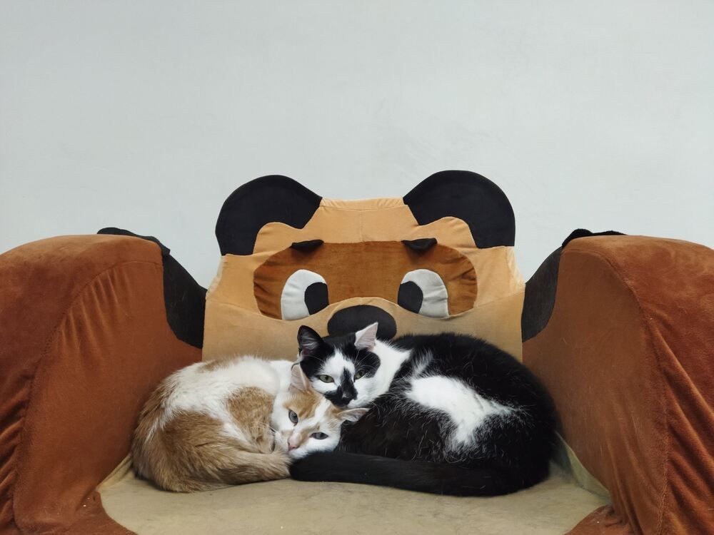 Photograph by Виталий Глазачев