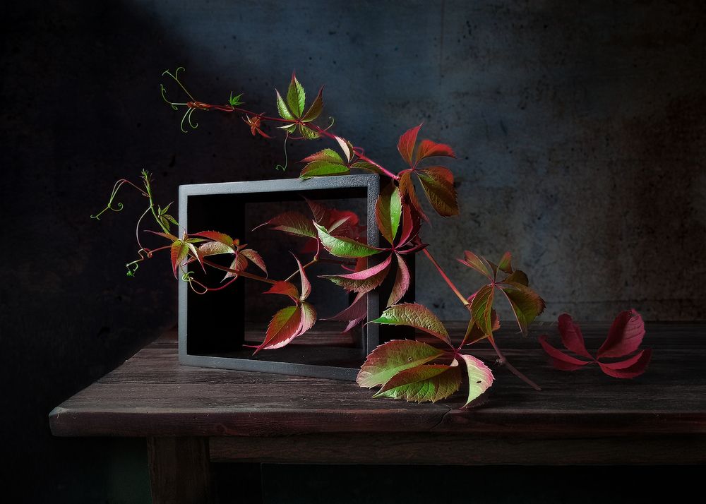 Photograph by Татьяна Попова